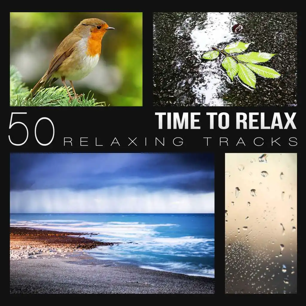 Time to Relax: 50 Relaxing Tracks - Music for Spa, Healing Songs for Mindfulness, Wellness Center Sounds, Deep Regeneration and Brain Stimulation for Sleeping Time