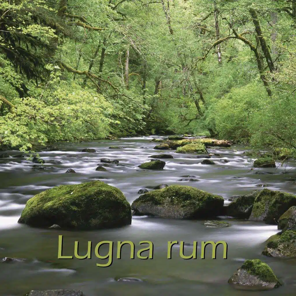 Lugna rum