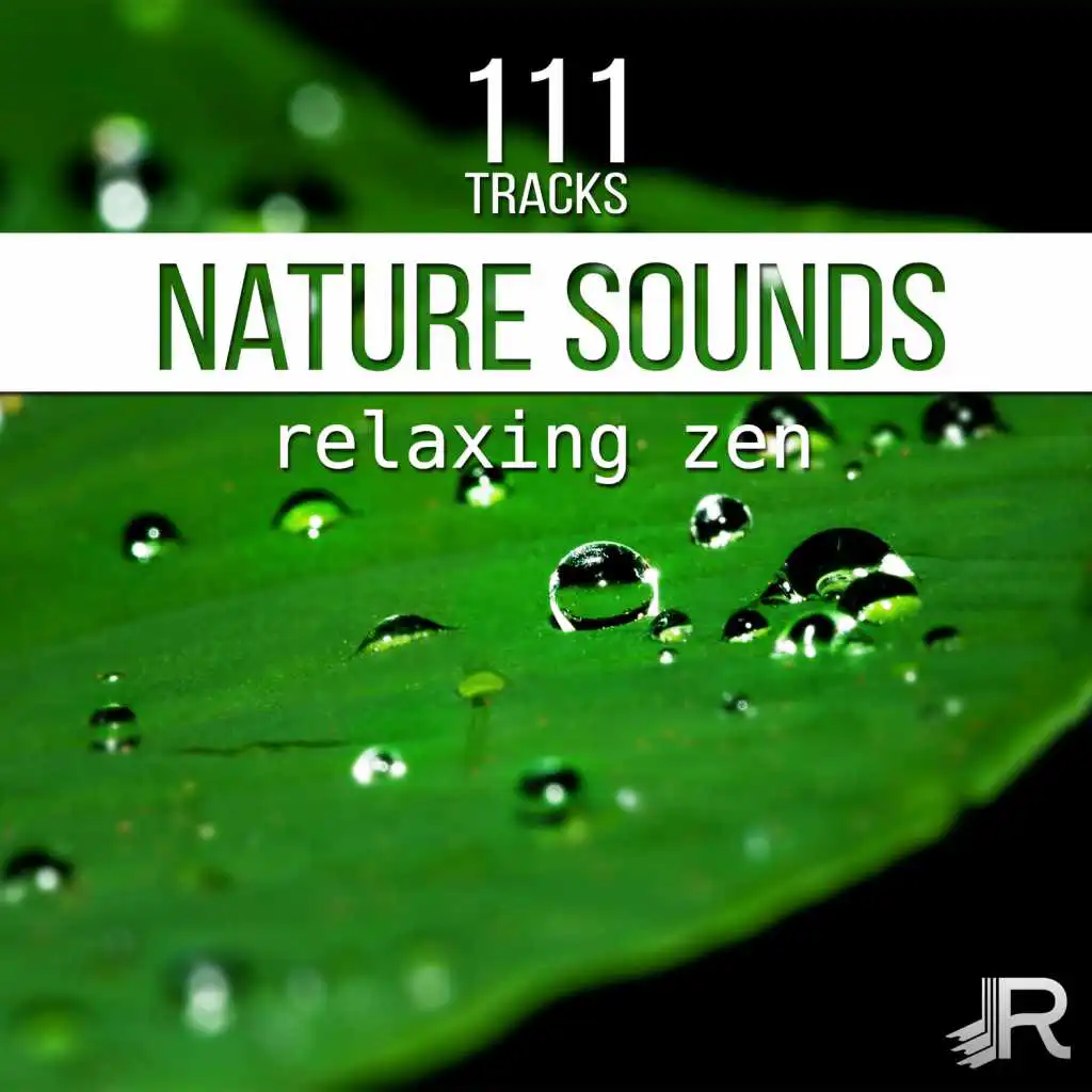 111 Tracks Nature Sounds: Relaxing Zen & Birds Sounds for Better Balance, Guided Meditation Music for Yoga Studio, Reiki Healing Waves