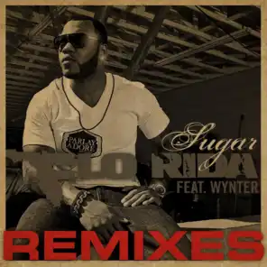 Sugar (feat. Wynter) [Disco Fries Remix Edit] [feat. Wynter Gordon]
