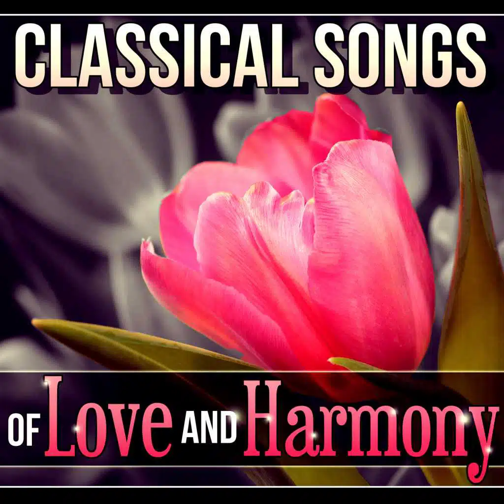 Violin Sonata No. 24 in F Major, K. 376: I. Allegro