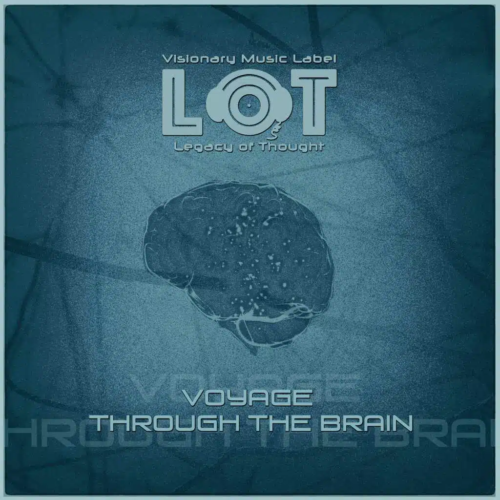 Voyage Through the Brain