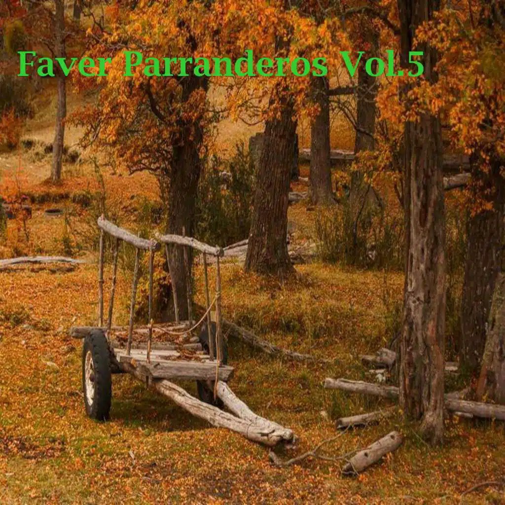 Faver Parranderos, Vol. 5