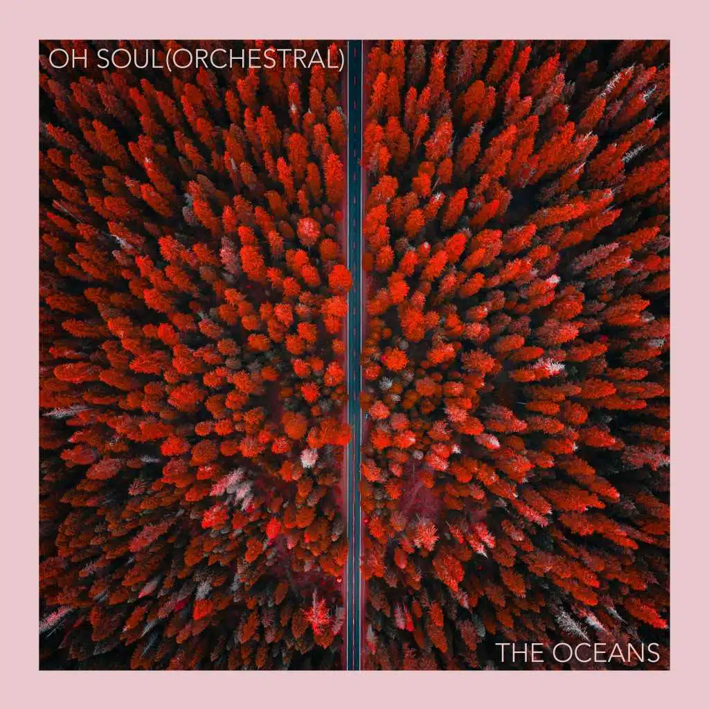 Oh Soul (Orchestral)