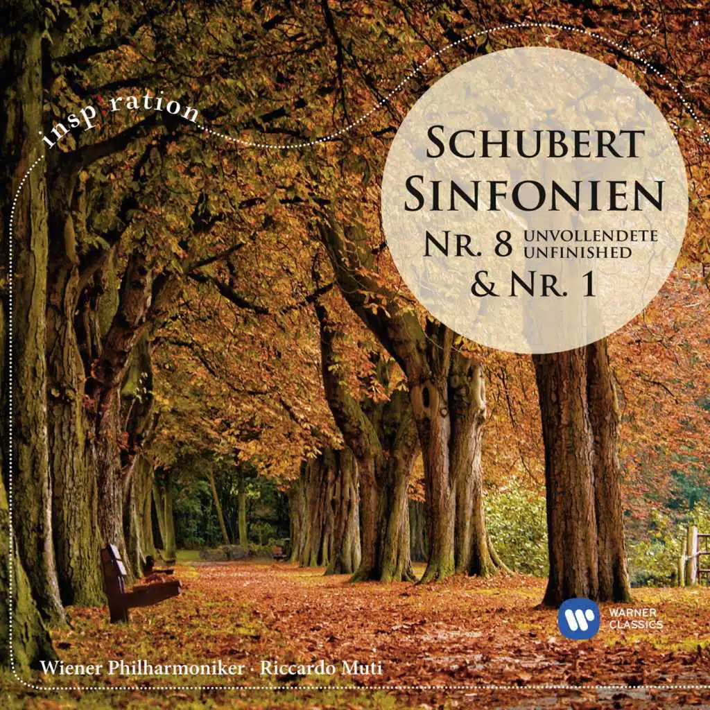 Schubert: Symphony No. 8 in B Minor, D. 759, "Unfinished": II. Andante con moto