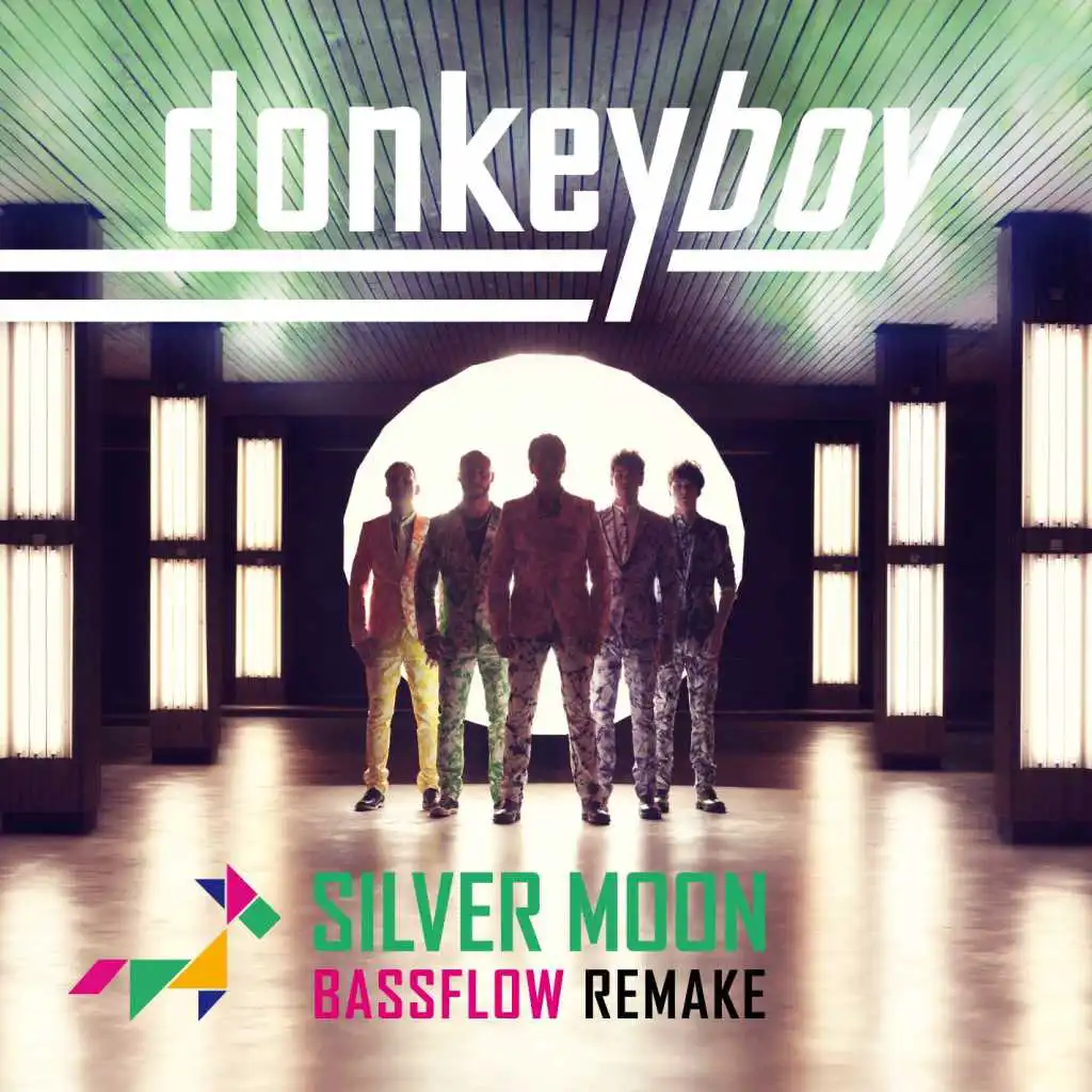 Silver Moon Bassflow Remake (feat. Peter Boström)