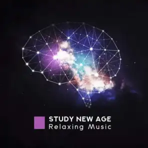 Study New Age Relaxing Music
