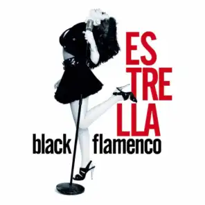 Black flamenco