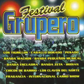 Festival Grupero Vol. I
