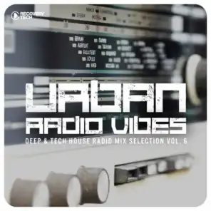 Urban Radio Vibes, Vol. 6