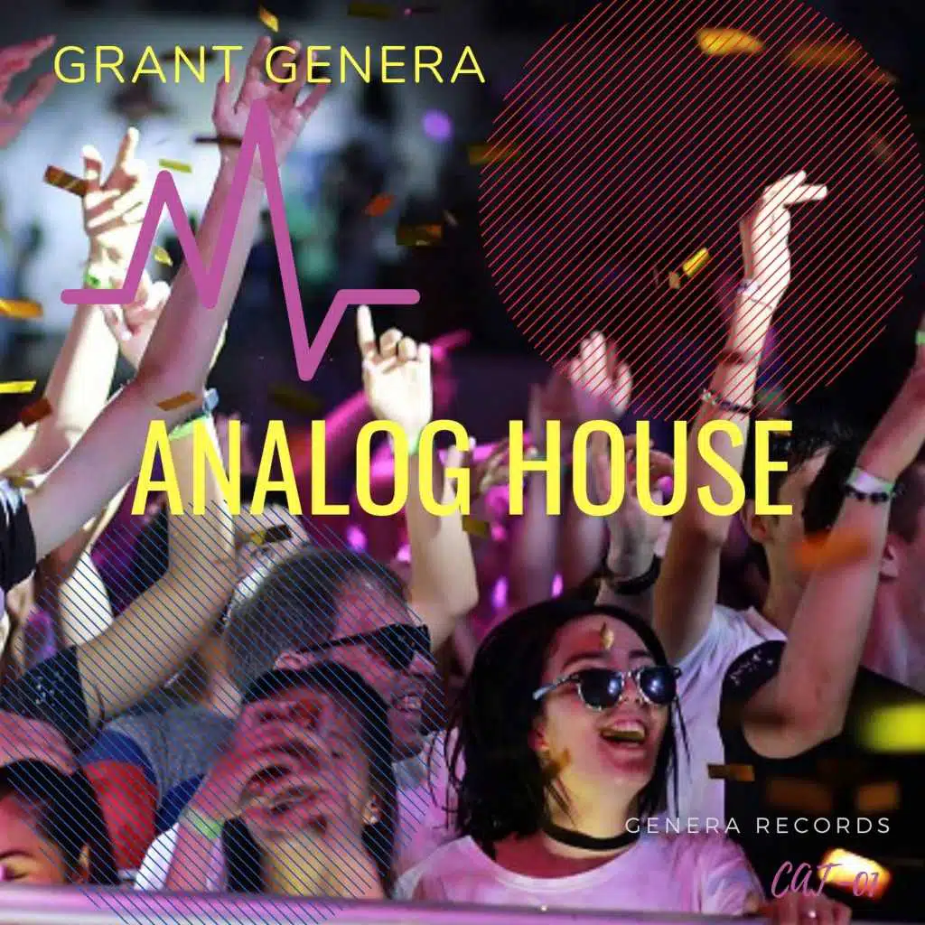 Analog House