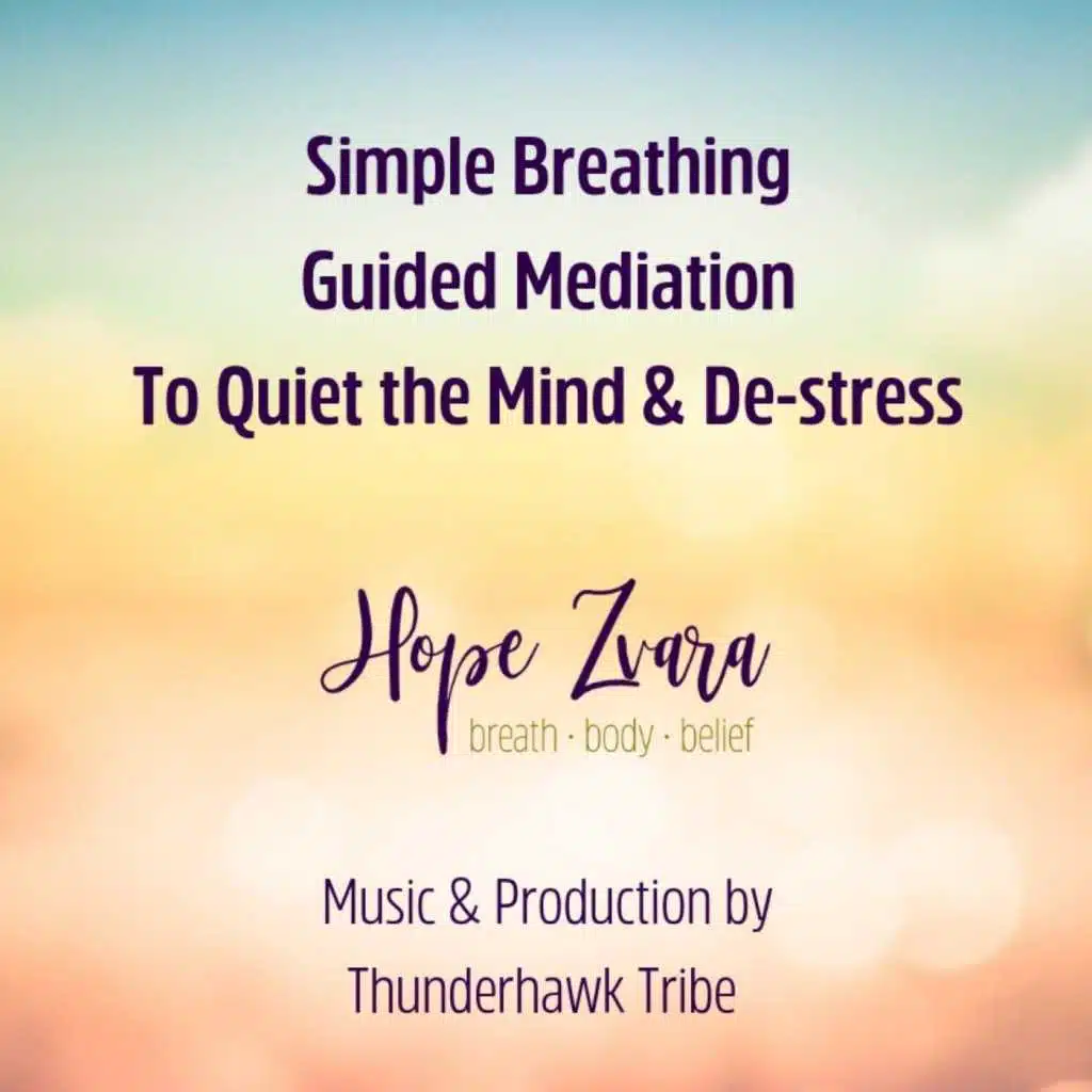 Simple Breathing: Guided Meditation to Quiet the Mind & De-Stress