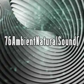 76 Ambient Natural Sounds