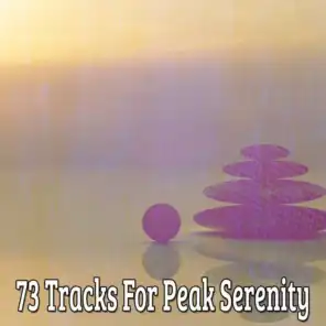 73 Tracks For Peak Serenity