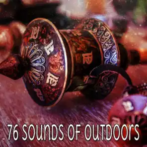 76 Sounds Of Outdoors