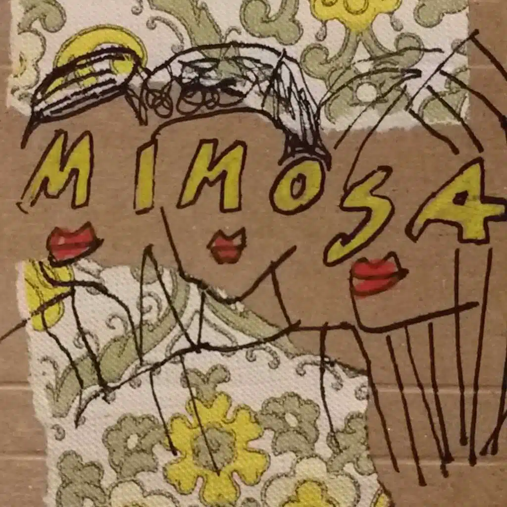 Mimosa
