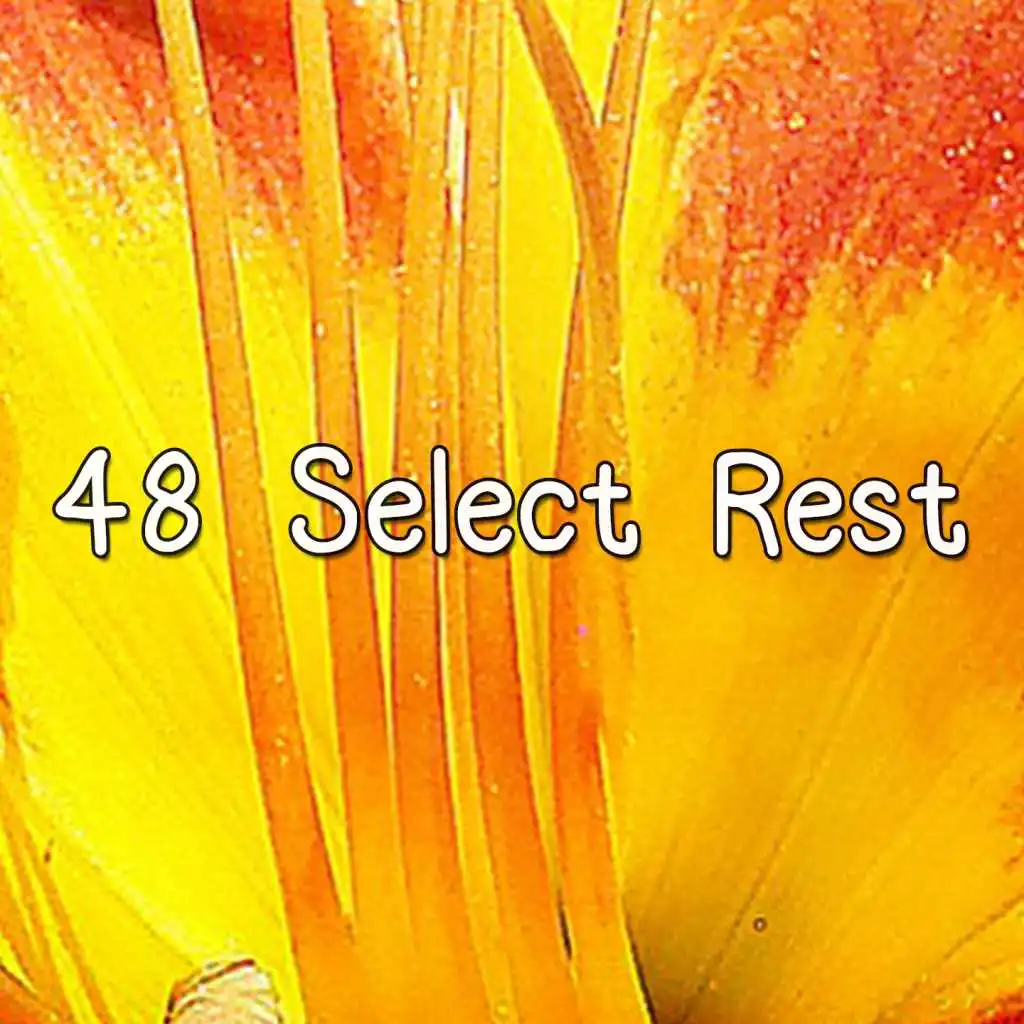 48 Select Rest