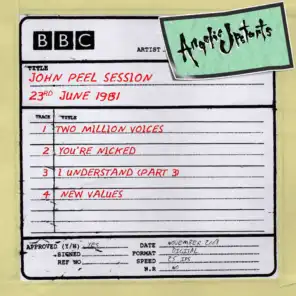 You're Nicked (John Peel Session)