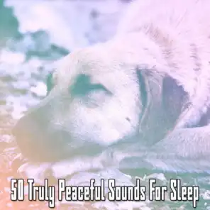 50 Truly Peaceful Sounds For Sleep