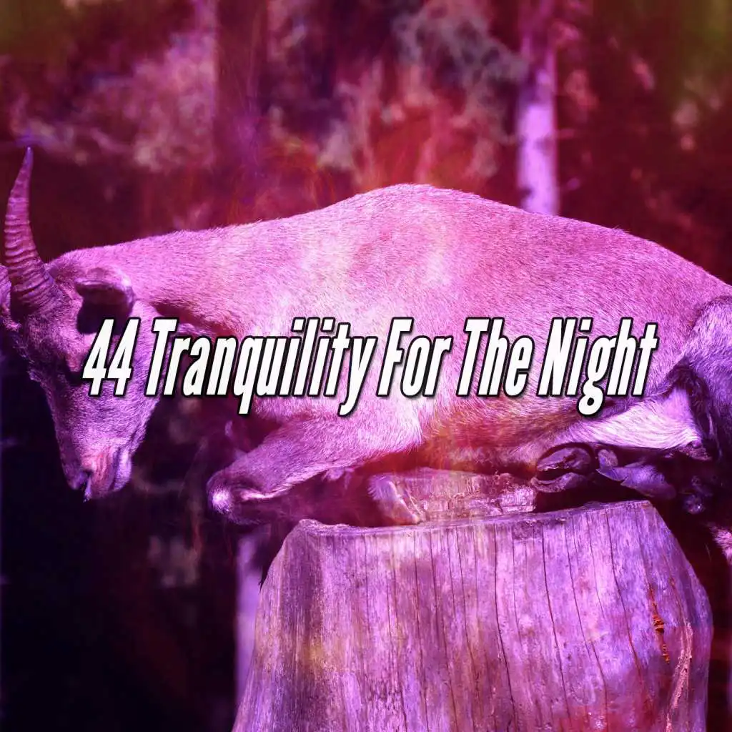 44 Tranquility For The Night