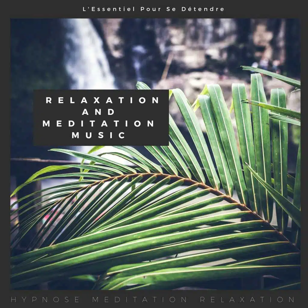 Relaxation and Meditation Music (L'essentiel pour se détendre)