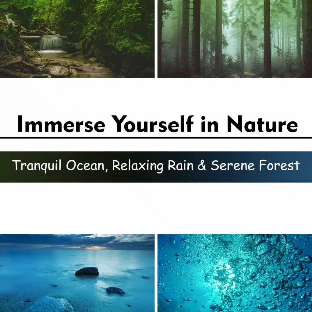 Immerse Yourself in Nature: Tranquil Ocean, Relaxing Rain & Serene Forest