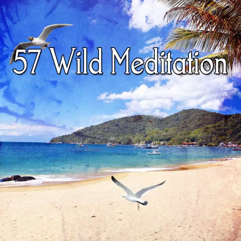 57 Wild Meditation