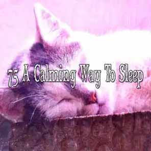 75 A Calming Way To Sleep
