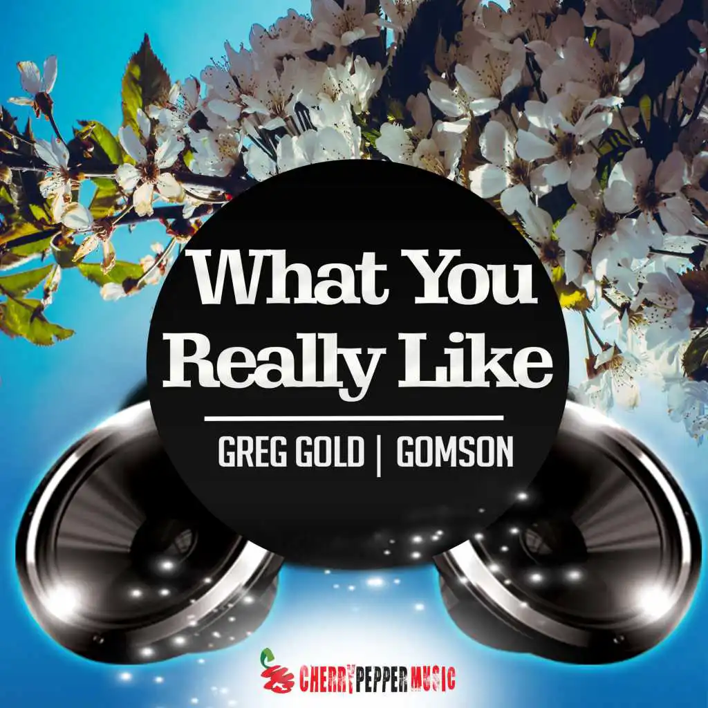 What You Really Like (Extended Mix)