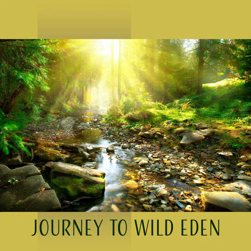 Journey to Wild Eden: Sounds of Nature (Birds, River, Waves, Mosquitoes, Babbling Brook)