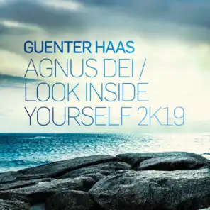 Agnus Dei / Look Inside Yourself 2K19