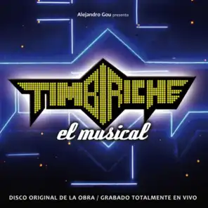 Timbiriche, El Musical (Album Electronico)