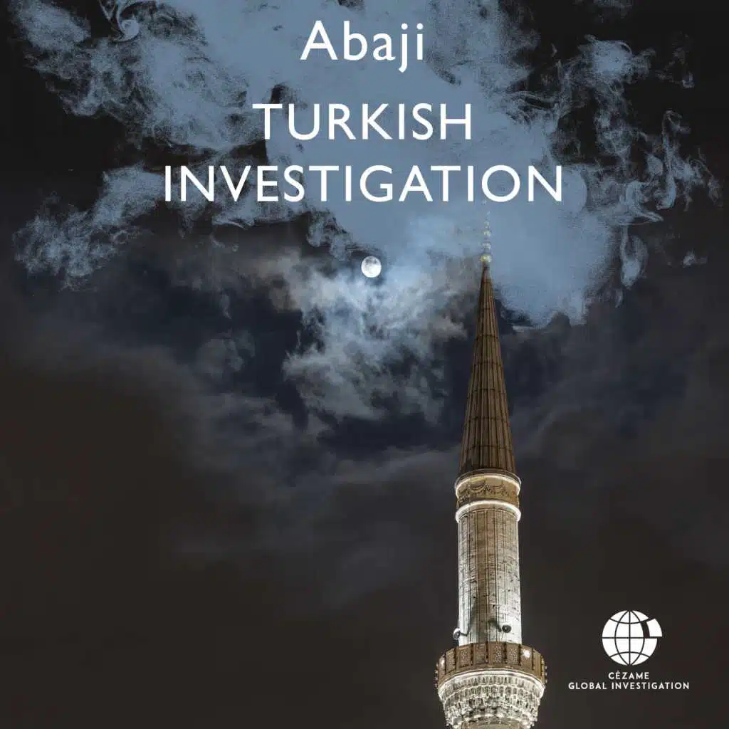 Twilight on the Bosphorus