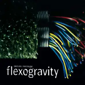 Flexogravity