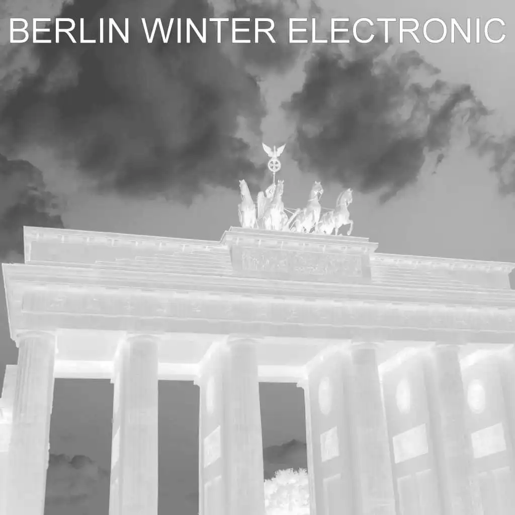 BERLIN WINTER ELECTRONIC (Berlin Winter Electronic)