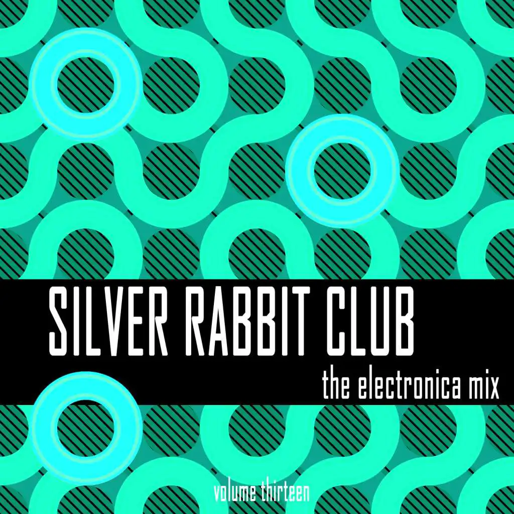 Silver Rabbit Club: The Electronica Mix, Vol. 13