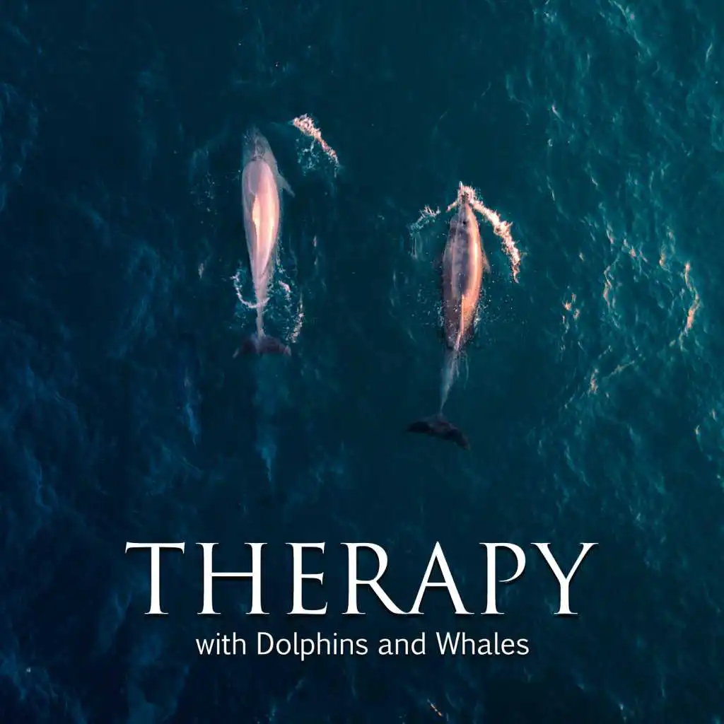 Therapy with Dolphins and Whales