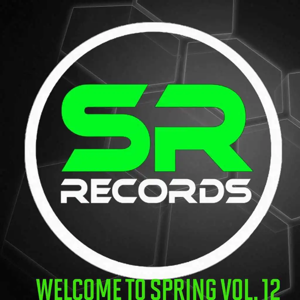 Various Artists Welcome To Spring Vol. 12