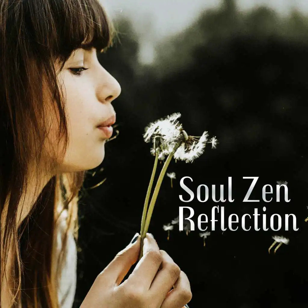 Soul Zen Reflection: The Moment of Clarity and Wisdom