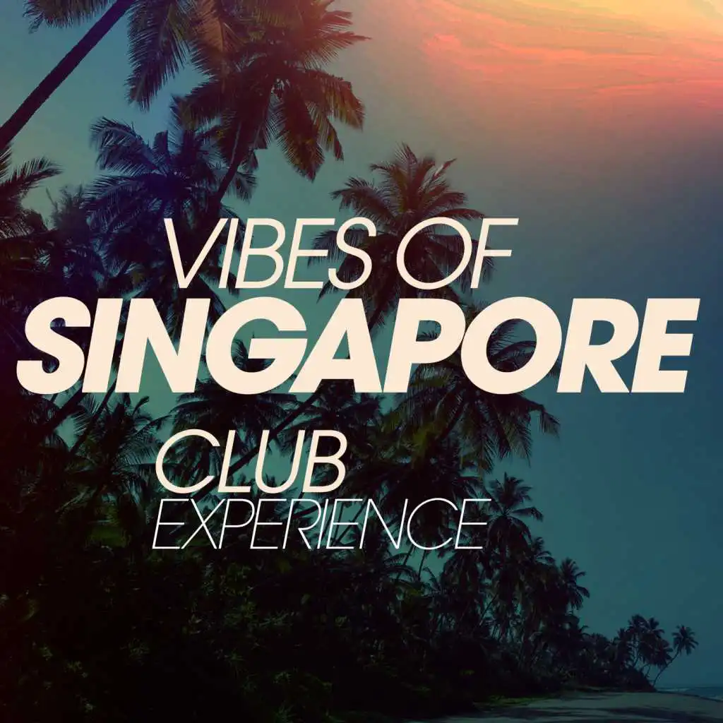 Vibes of Singapore Club Experience