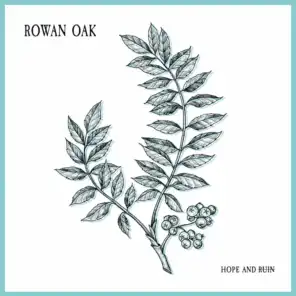 Rowan Oak