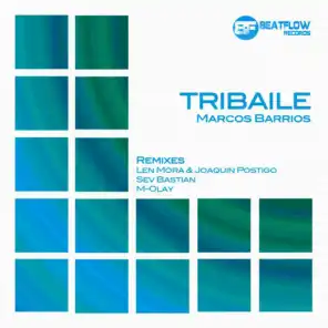 Tribaile (M-Olay Remix)