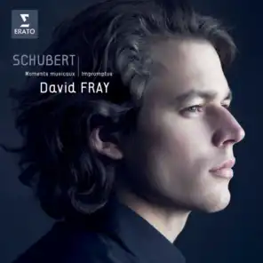Schubert: Impromptus, Op. 90 - Moments Musicaux, Op. 94 & Allegretto, D. 915