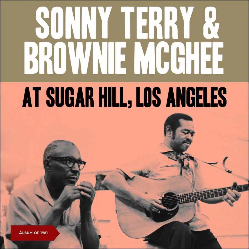 Sonny Terry & Brownie McGhee