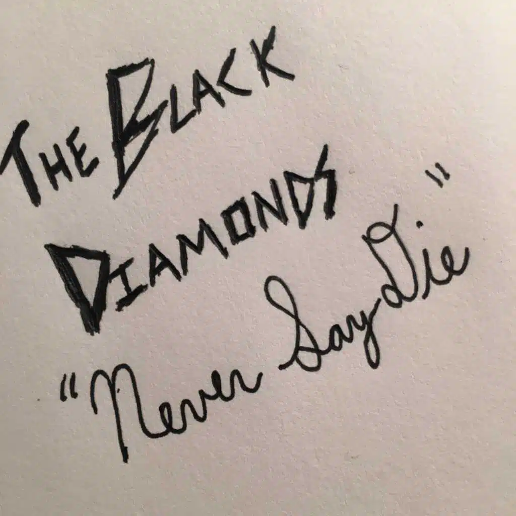 Never Say Die