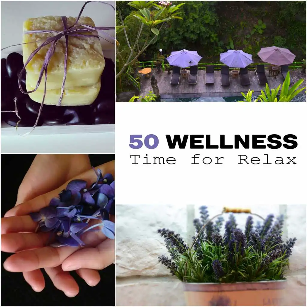 50 Wellness Time for Relax: Massage & Sleepy Therapy, Mindfulness Meditation, Yoga Training, Zen Healing Sounds for Spa, Soothe Your Soul