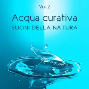 Acqua curativa vol.2