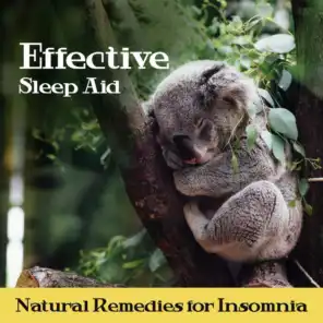 Effective Sleep Aid: Natural Remedies for Insomnia, Healing Sounds for Trouble Sleeping, Music for Deep Sleep and Regeneration During the Sleep