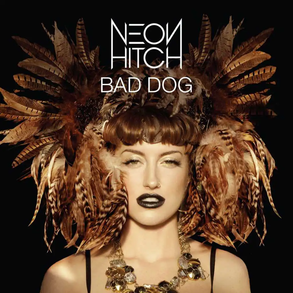 Bad Dog (Jason Nevins Remix) [Radio Edit] (Jason Nevins Remix; Radio Edit)