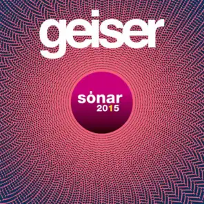 Geiser Sonar 2015